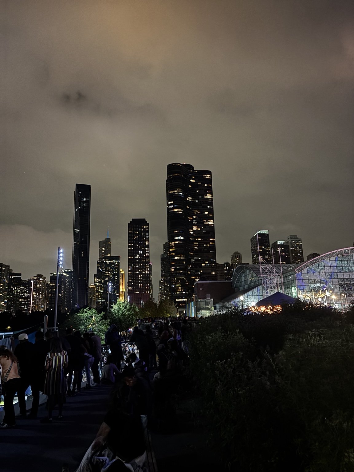 Chicago skyline at night