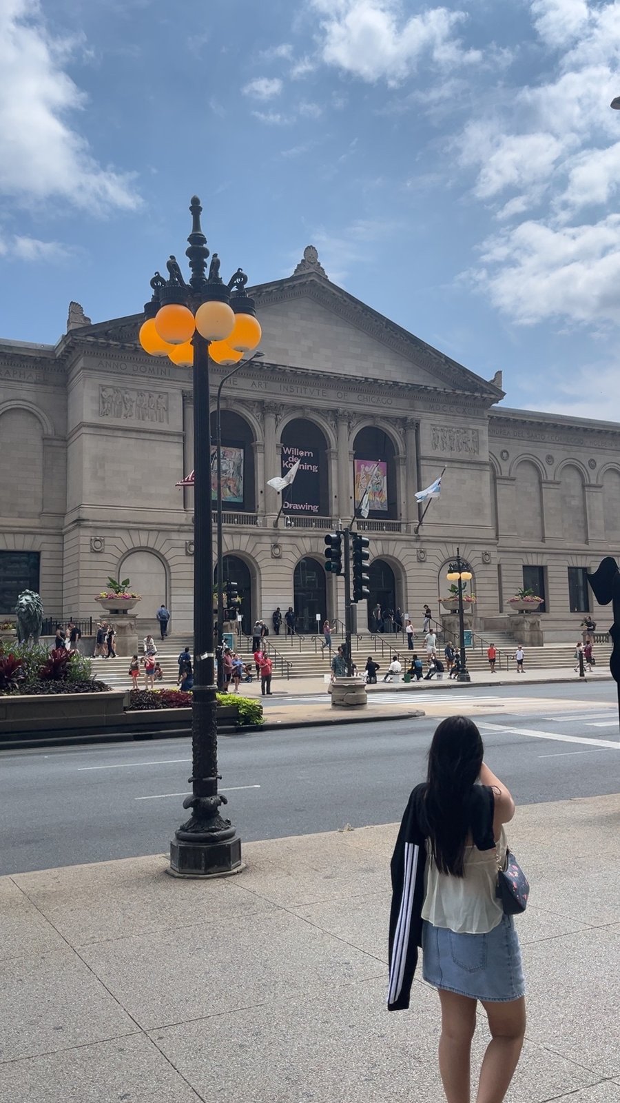 Museum entrance and Chicago street scene